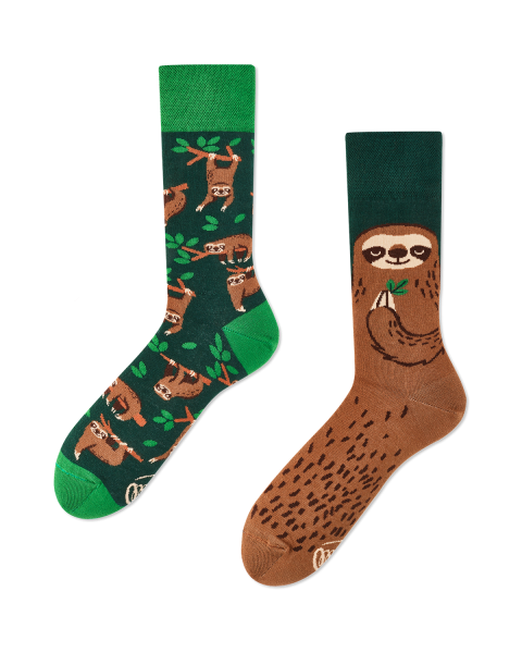 Sloth Life